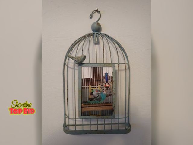 Lot 59-43497 - Wrought Iron Bird Cage Photo Frame Wall Hanging