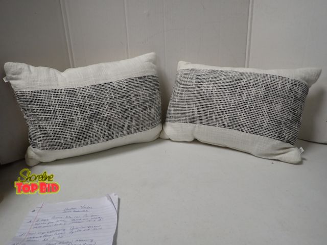 Lot 59-46113 - 2 Sofa Pillows, Like New. Pet-Free, Smoke-Free Home. Black and White with Cream Back, Measure 14" x ...