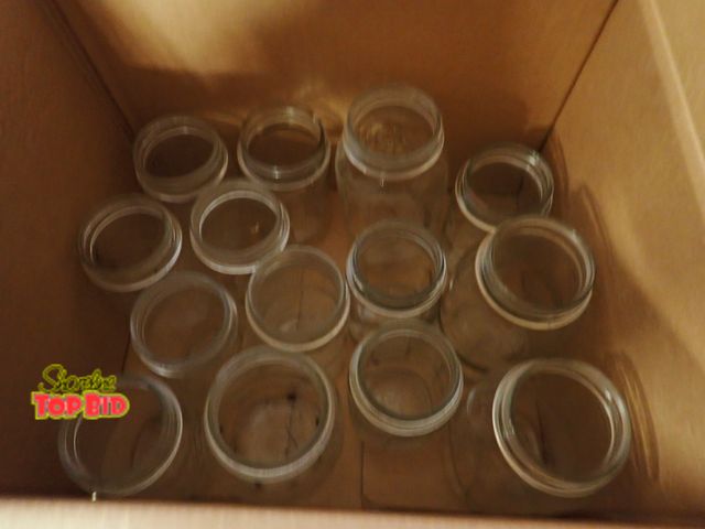 Lot 59-50079 - 22 Canning Jars