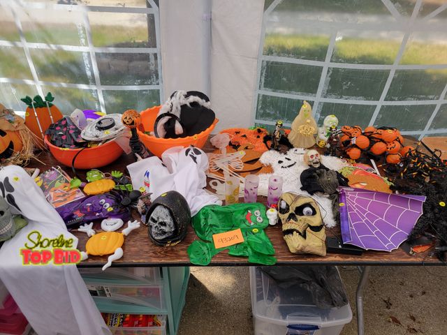 Lot 59-93209 - MASSIVE Halloween lot! This MASSIVE Halloween lot includes so many spooky, scary goodies! See pictur...
