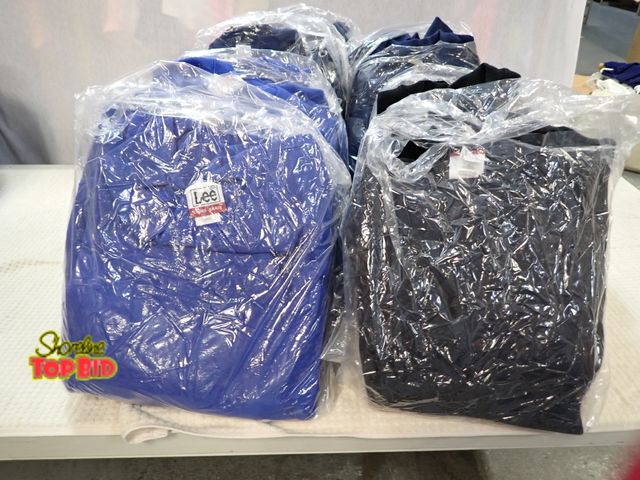 Lot 59-45077 - New Old Stock Variety of Colors Size Large Sweatshirts, 8 Packages - Total of 21