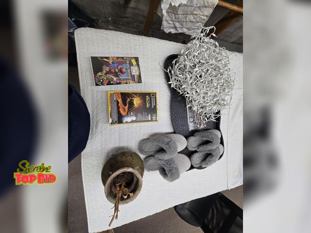 Lot 59-76039 - Mescellaneous household items slippers, icicle Christmas Lights, plant,  build a Volcano set and sho...