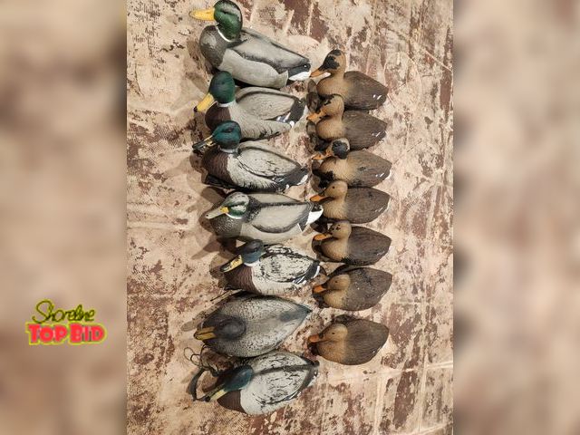 Lot 59-97006 - 14 Duck decoys, floating. Some have ropes/hooks, most are loose. Comes with drawstring mesh carrying...
