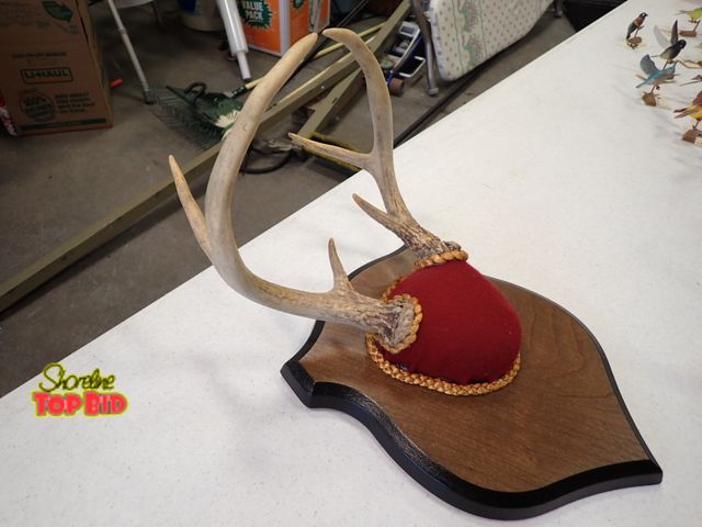 Lot 59-41052 - 6-Point Mount