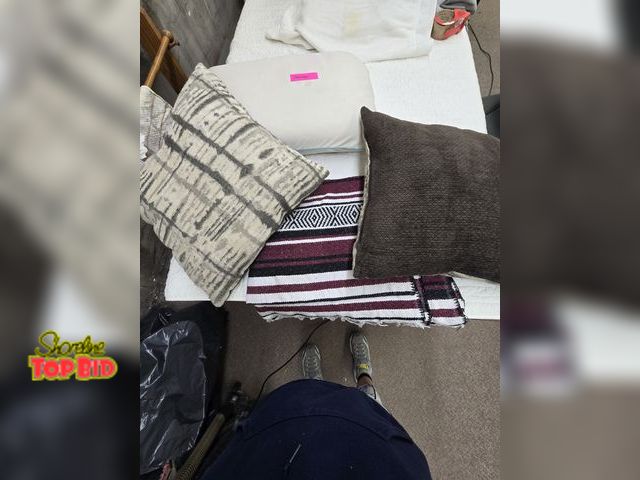Lot 59-76040 - Indian blanket with 2 couch pillows and one memory foam pillow.