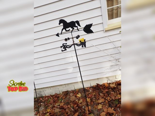 Lot 59-43204 - Weather Vane with House Silhouette
