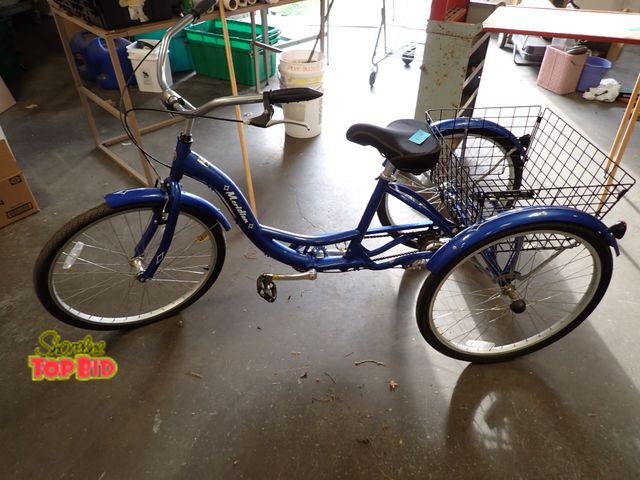 Lot 59-38294 - Meridian Trike by Schwinn Tricycle