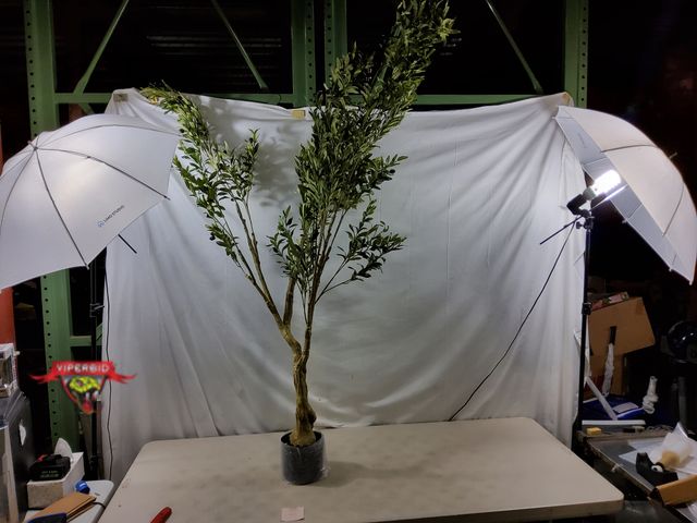 Lot 7-130283 - 7 ft. Artificial potted olive tree.