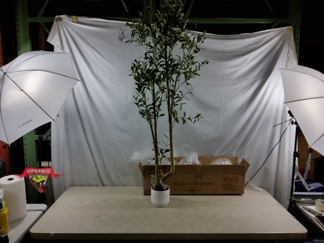 Lot 7-133900 - 6ft Artificial Potted Olive Tree with Artificial Moss Foliage for Pot.