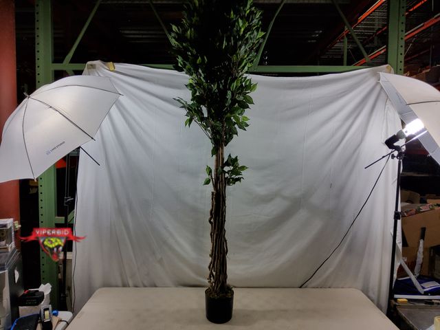Lot 7-130764 - 6 ft. Artificial potted tree.