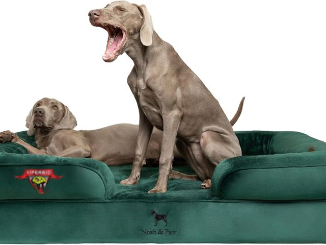 Lot 7-133964 - New! Noah &amp; Paw Memory Foam XXL Dog Bed. (55" x 45" x 11")