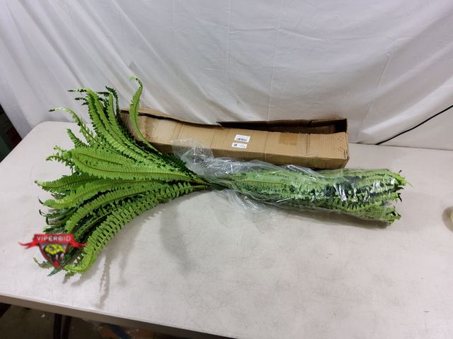 Lot 7-133268 - (2) Artificial Ferns (36" dia. x 23"T)