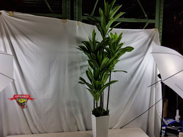Lot 7-135768 - 5.5 ft. Artificial potted plant.