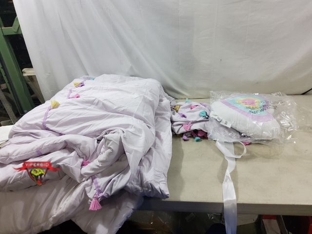 Lot 7-131681 - Intelligent Design Kids 86" X 86" Comforter, (2) Shams and decorative pillow.