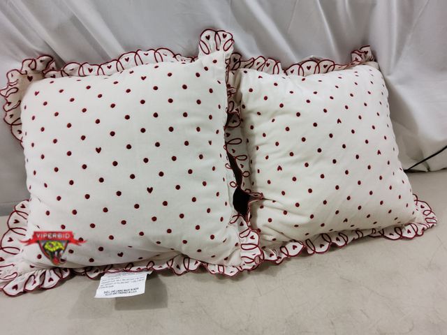 Lot 7-132500 - (2) 18" X 18" Decorative throw pillows.