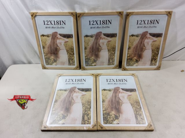 Lot 7-130978 - New! (5) VCK 12" X 18" (with mat 11" X 17") Photo frames.