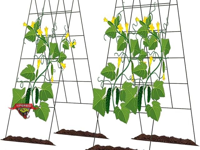 Lot 7-131301 - Set of 2 - Doeworks Cucumber Trellis, 48" High Foldable A Frame.