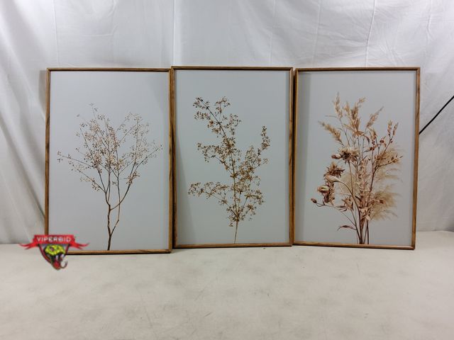 Lot 7-134451 - (3) Framed Pictures (15-3/4"W x 23-3/4"T)
