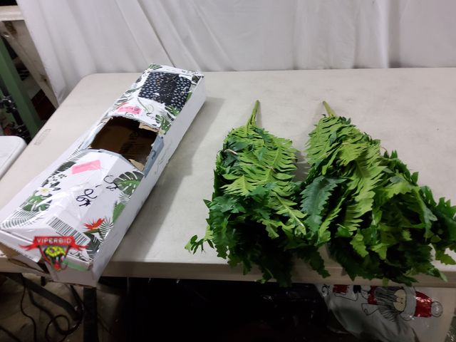 Lot 7-133531 - (2) 23"H Artificial fern stems.