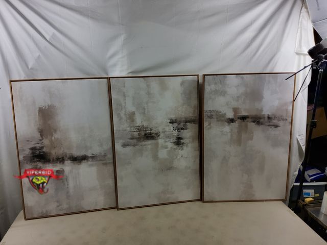 Lot 7-130373 - (3) Piece Framed canvas wall art. 23-5/8" X 35-1/2".
