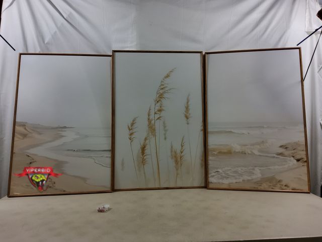 Lot 7-130294 - Retail value $129! 3-Piece Hpniub seaside beach reed pathway wall art. 24" X 36" Each.