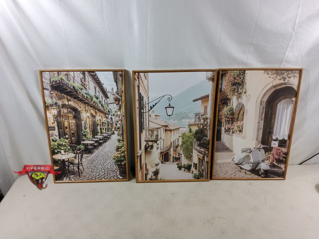 Lot 7-133638 - (3) Framed Pictures. (15-7/8"W x 23-1/4"T)