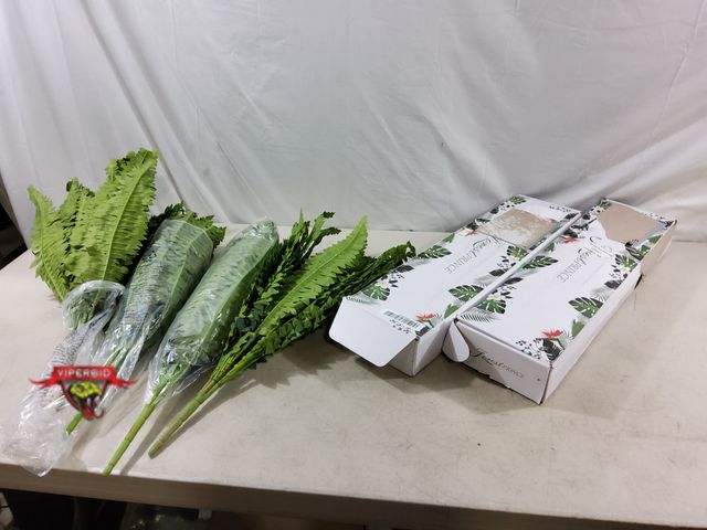 Lot 7-133660 - New! (4) Artificial fern stems. 25".