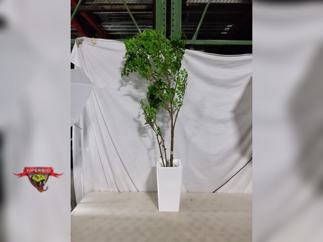 Lot 7-134453 - 7 ft. Artificial potted elm tree.