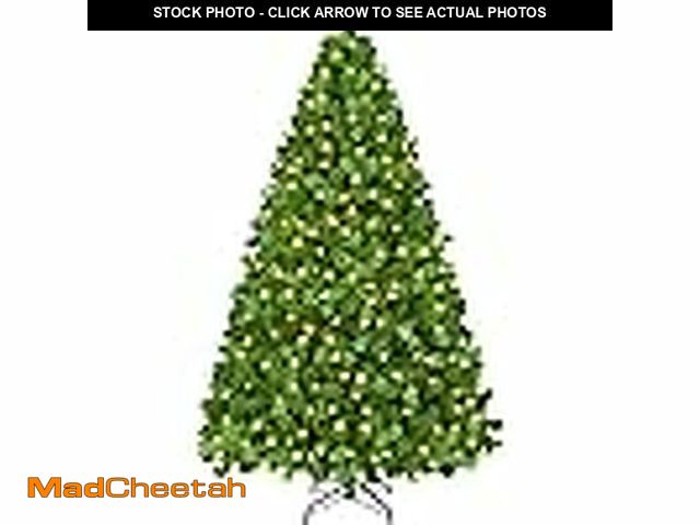 Lot 74-13055644 - MCQ 6ft Flocked Pre-lit Artificial Christmas Tree with Warm White Incandescent Lights - UNUSED