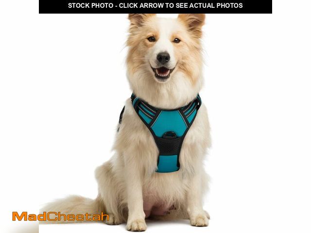 Lot 74-14063865 - rabbitgoo Dog Harness No Pull with 2 Leash Clips, Adjustable Soft Padded, Reflective Oxford No Choke...