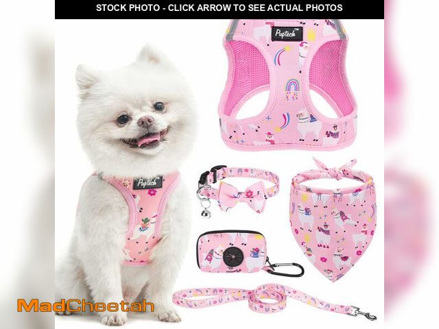 Lot 74-13953541 - PUPTECK Adjustable Dog Harness Collar and Leash Set, Step in No Pull Pet Harness for Small Medium Do...