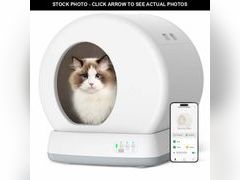 Lot 74-12804873 - undefined