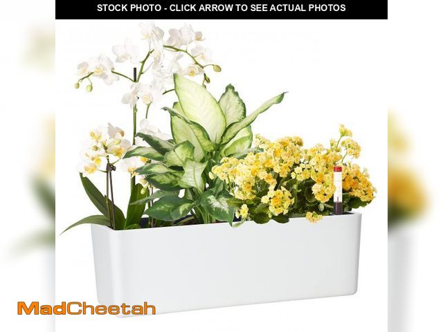 Lot 74-12049342 - GardenBasix Elongated Self Watering Planter Pots Window Box 5.5 x 16 inch Indoor Home Garden Modern ...