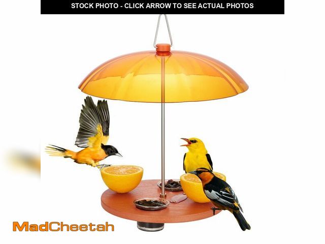 Lot 74-13962226 - Kingsyard Oriole Bird Feeders for Outdoors Hanging, Double-Cup Jelly Platform Bird Feeder with Pegs ...
