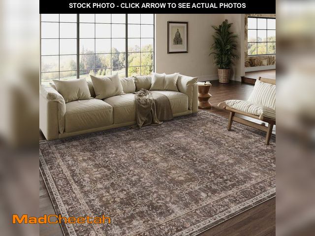 Lot 74-12850274 - BERTHMEER 6'x9' Washable Area Rugs for Living Room Bedroom Kitchen Rugs Non Slip Vintage Traditional...