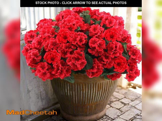 Lot 74-14297731 - Hananona 6 Pcs Artificial Geranium Flowers for Outdoors Geranium Silk Red Flower Outdoor UV Resistan...