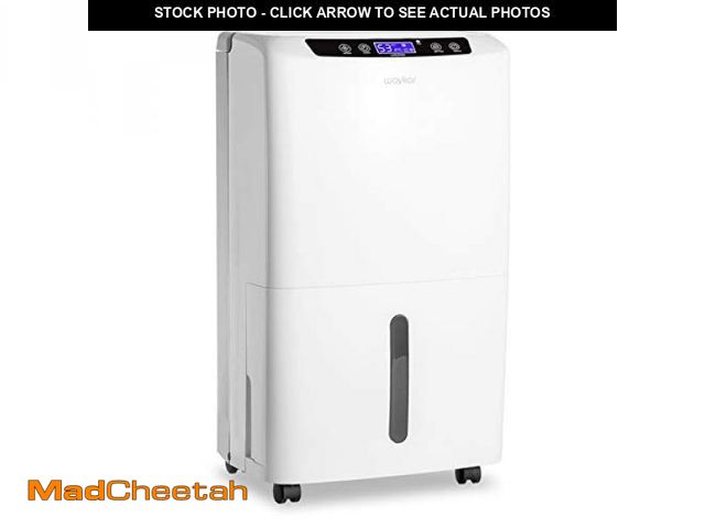 Lot 74-11226319 - Waykar 2000 Sq. Ft Dehumidifier for Home and Basements, with Auto or Manual Drainage, 0.66 Gallon Wa...