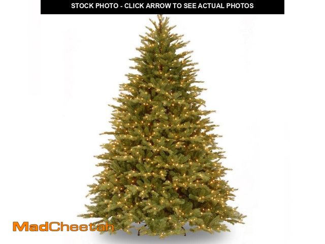 Lot 74-13019783 - National Tree Company 6-1/2 ft. Feel Real Nordic Spruce Hinged Tree with 750 Clear Lights - UNUSED