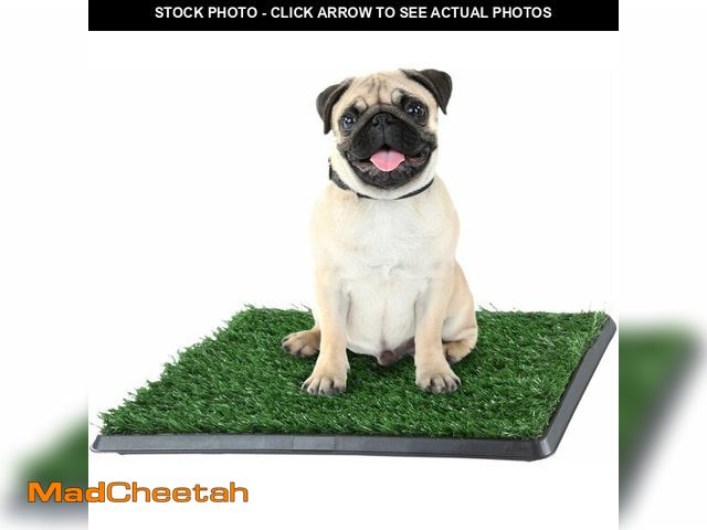Lot 74-14348500 - Artificial Grass Puppy Pad with Tray 16x20 inch | Reusable Indoor &amp; Outdoor Dog Potty Training M...