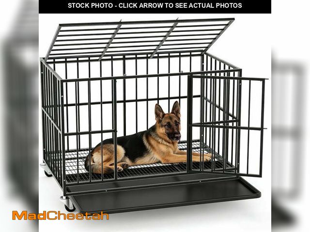 Lot 74-14438442 - TIME RAY 48 Inch Heavy Duty Dog Crate Cage for Large Dog with Steel Escape Proof, Indoor &amp; Outdo...