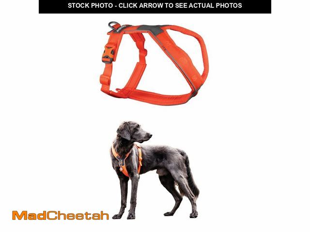 Lot 74-14211887 - Non-stop dogwear Line Harness 5.0, Padded Dog Harness for Large Dogs, Made for Hiking, Sport and Eve...