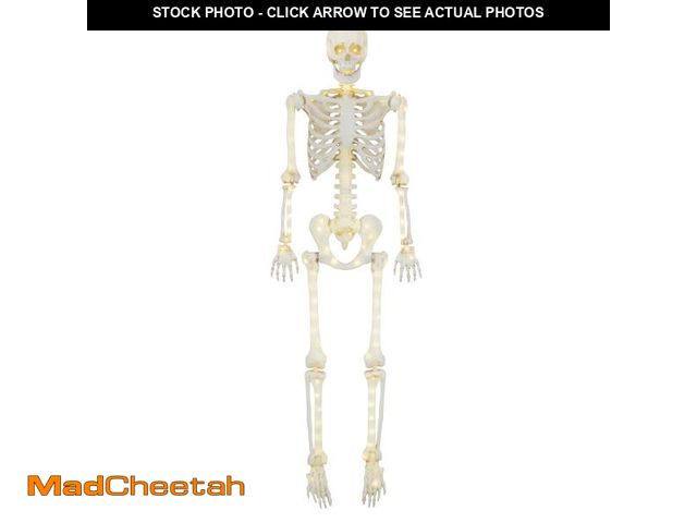 Lot 74-12526094 - (LEG DAMAGED) 5ft Light Up Poseable Skeleton Decoration, Halloween Outdoor Decor, by Way To Celebrat...