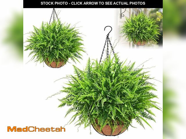 Lot 74-14215476 - Yastouay 2 Pack Artificial Hanging Ferns for Outdoors, UV Resistant Fake Mixed Ferns with Hanging Ba...