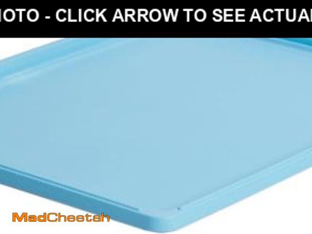 Lot 74-12399201 - MidWest Homes for Pets, Dog Crate Replacement Pan for- 24-Inch Blue iCrate, Also Fits New World, Reg...