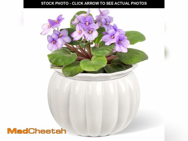 Lot 74-12451665 - BUYMAX African Violet Pots, 6 inch Pumpkin-Style Ceramic Easy Self Watering Plant Pot for Busy Plant...