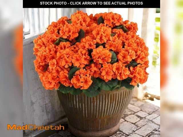 Lot 74-12712618 - Hananona 12 Pcs Artificial Geranium Flowers for Outdoors Geranium Silk Orange Flower Outdoor UV Resi...