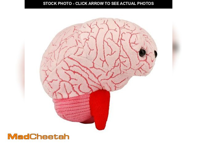 Lot 74-12701096 - GIANT MICROBES Brain Plush, Gift for Med Student, Gifts for Neurologist, Brain Surgery Recovery, TBI...