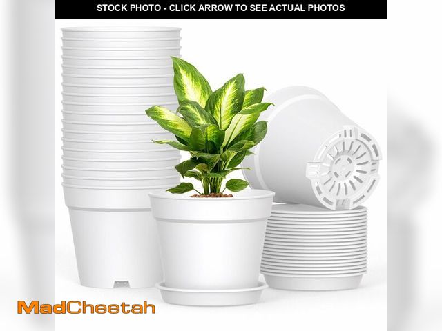 Lot 74-13954860 - SwinDuck 20 Pack 6 Inch Plant Pots with Drainage and Saucers, White Plastic Flower Pots for Indoor a...