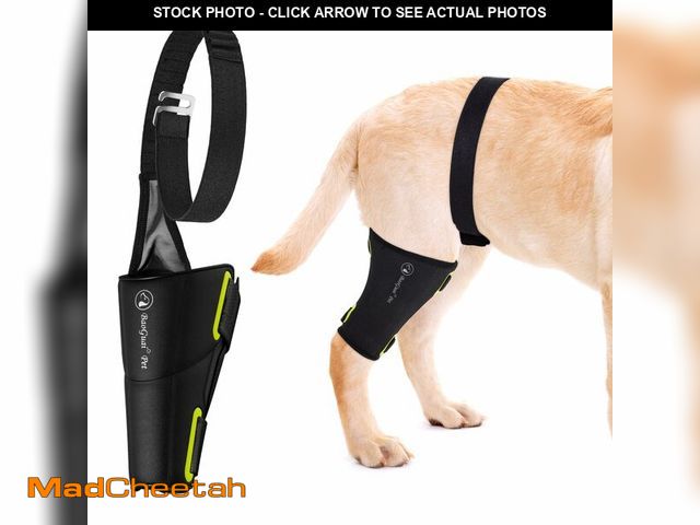 Lot 74-12969671 - BaoGuai Dog Knee Brace Pro, for SZ2BM - USED