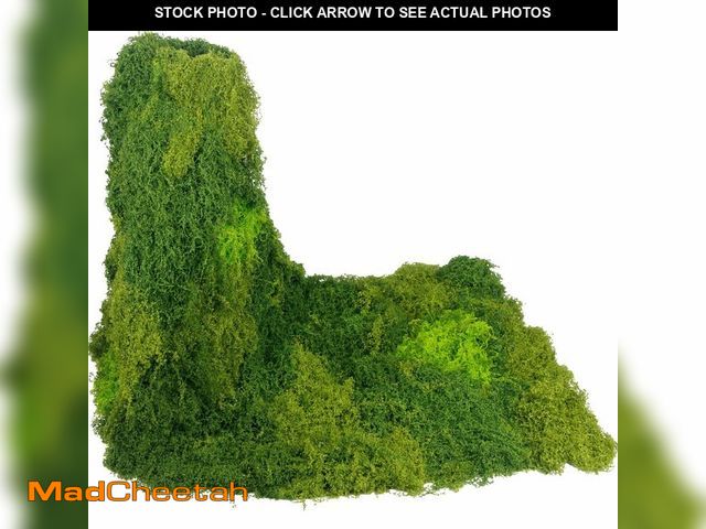Lot 74-14059182 - FAICOIA Artificial Moss Mat for Decorating Mossy Table Runner Blanket Fake Moss Rug for Plants Indoo...